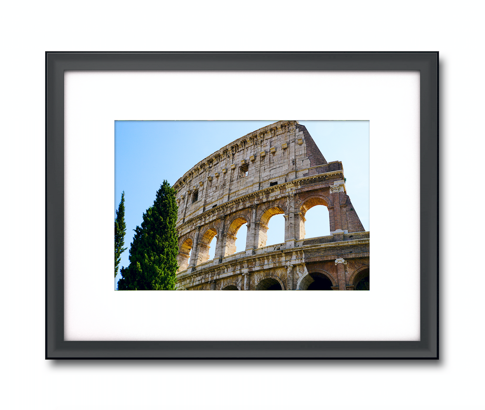 
                  
                    Colosseum
                  
                