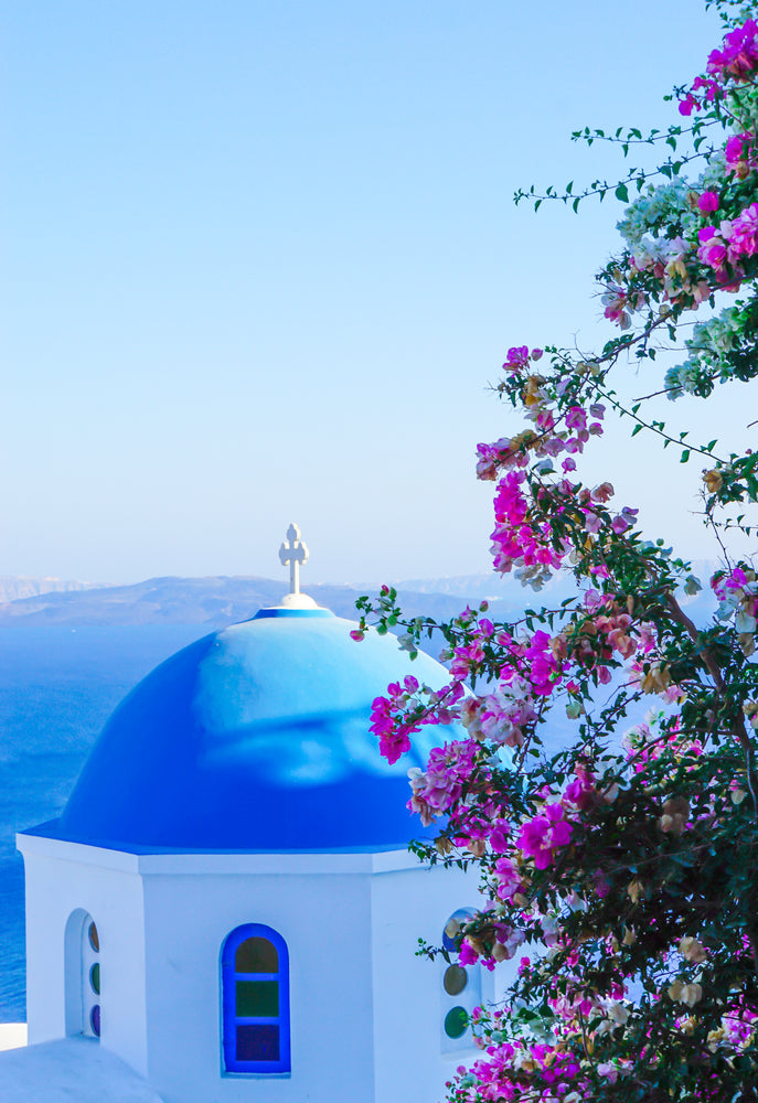 Pink flowers in foreground with blue dome and white cross overlooking ocean in background