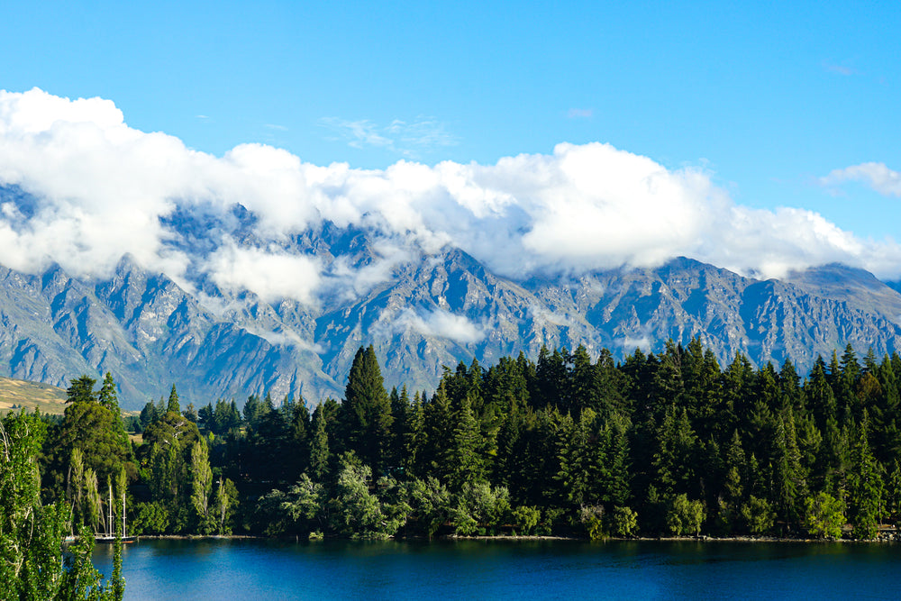Green trees and mountains by a blue lake