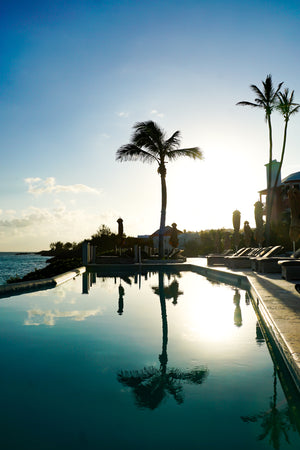 
                  
                    Palm tree reflecting on pool at sunset
                  
                